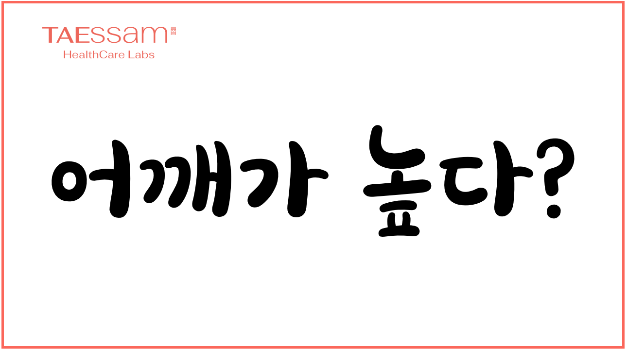 샘플